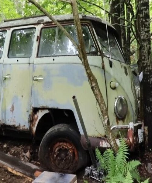 У лісі знайшли культовий фургон Volkswagen: він 52 роки простояв на місці