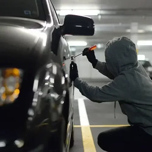У Канаді скликають національний саміт через масові крадіжки авто