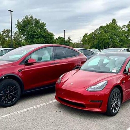 Tesla додала два нових кольори для нових авто Model Y в США