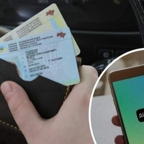 Як вдало купити чи продати авто в Дії
