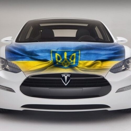 На Буковині здивували кількістю зареєстрованих електромобілів
