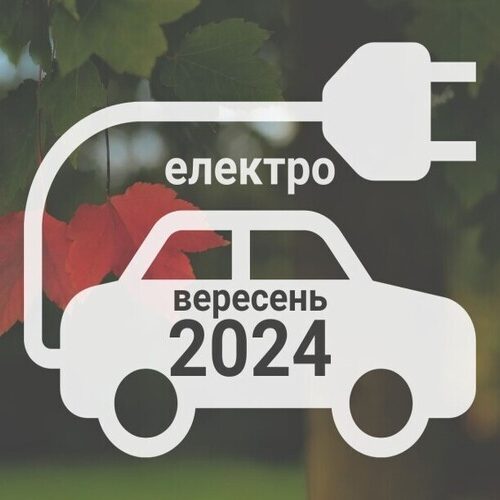 Ринок електромобілів в Україні вперше обвалився на третину