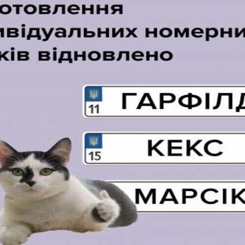 Українським водіям знову доступні індивідуальні номерні знаки