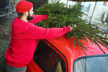 Як безпечно та без штрафів перевезти ялинку в автомобілі