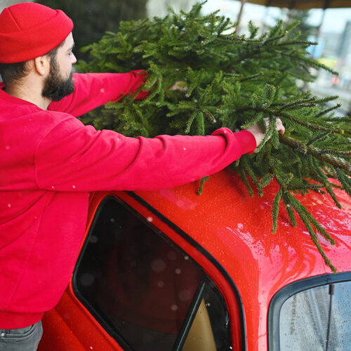 Як безпечно та без штрафів перевезти ялинку в автомобілі
