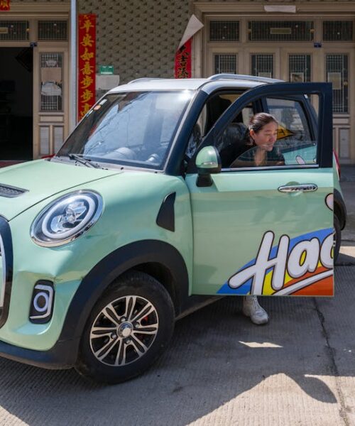 Hongqi планує виробництво електромобілів у Європі