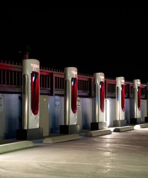 Tesla Robotaxi: перші ознаки зростання автопарку у США