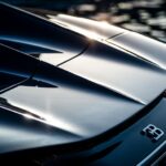 Bugatti Mistral 'Fly Bug' — унікальний автомобіль з натхненням від бабки