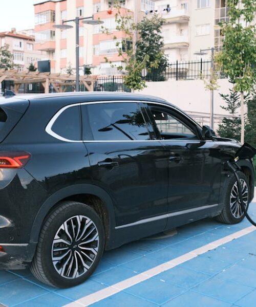 BYD Atto 3 виходить на ринок: новий електрокросовер