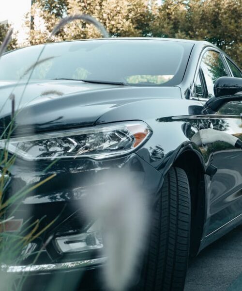 Ford запускає нову лінійку авто для європейського ринку