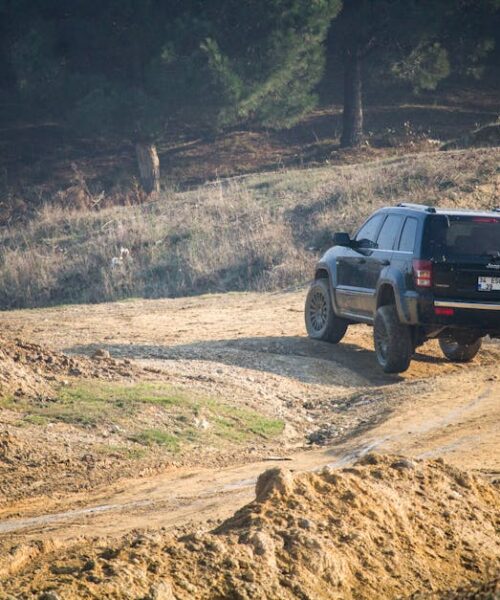 Stellantis Україна презентує нові моделі на AGRO Challenge