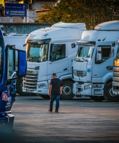 Україна та Туреччина розширюють квоти на перевезення та цифровізацію