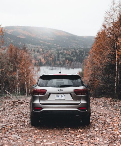 KIA відкликає 463 000 позашляховиків Telluride через загрозу пожежі