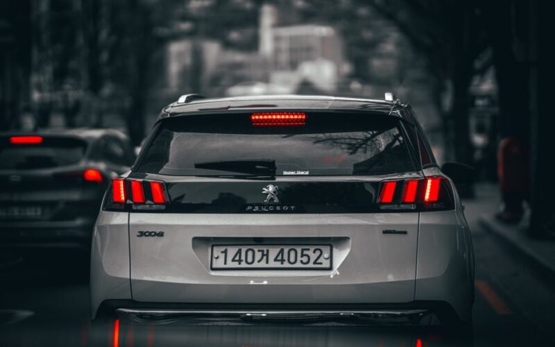 Концепт Peugeot E-5008 Dog Edition для подорожей з собаками