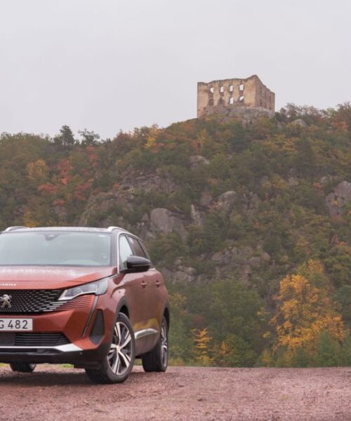 Peugeot E-5008 отримав концепт Dog Edition для власників собак