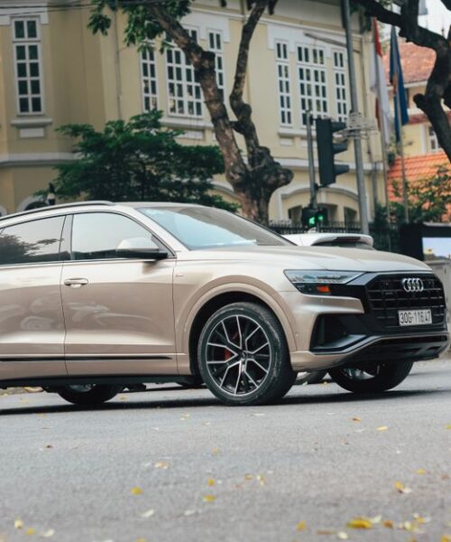 Audi Q9 не отримає електронні ручки — рішення гендиректора