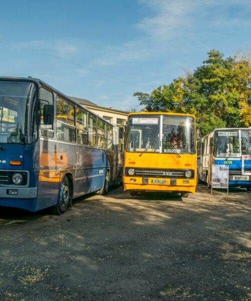 В Україні в липні зросла кількість автобусів на 4%