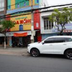 Новий електричний позашляховик BYD Ti 7 на ринку Великої Британії