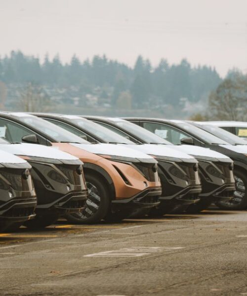 Продажі електромобілів в Україні: BYD лідирує на ринку