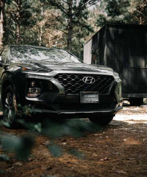 Hyundai презентує Ioniq 9 Calligraphy Black Ink з унікальним дизайном
