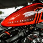 Кастомний Harley-Davidson Street Bob від Thunderbike під назвою Flying Bob