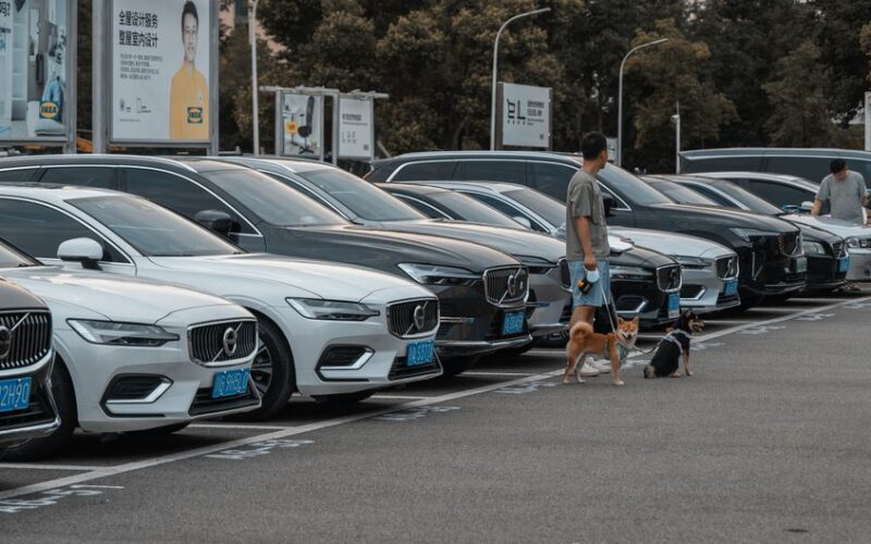 Клаус Цельмер, новий президент Volvo Cars